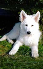 Keona 16 Monate Keona 16 Wochen