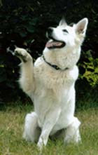 Keona 5 Jahre