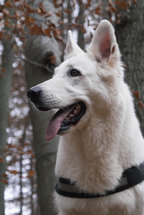 Keona 8 Jahre