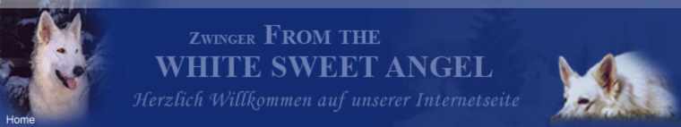 Zwinger from the White Sweet Angel