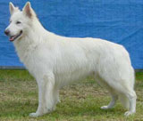 Baron von Schloss Stutensee