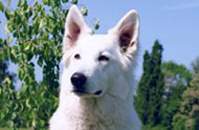 Keona &ndash; Girl of Moonlight