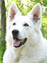 Keona Girl of Moonlight