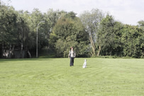 Sitz aus der Bewegung