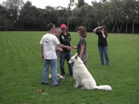 Carwyn Urkunden &Uuml;bergabe