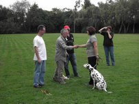 Bella Urkunden &Uuml;bergabe