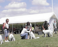 Coralie_Zahnkontrolle