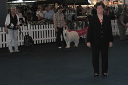 Keona FCI - Ehrenring