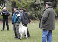 Coralie geht durch die Gruppe