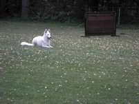 Coralie Platz aus der Bewegung