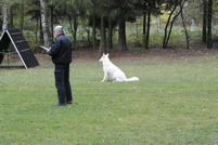 Coralie sitz aus der Bewegung