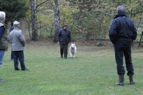 Keona fu&szlig; gehen 