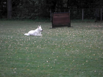 Keona Platz aus der Bewegung