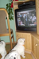 das ist ja ein tolles Programm