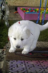 Wo geht es hier hin?