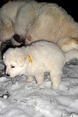 Huch, ist die Toilette kalt