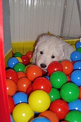 Hilfe! Ich ertrinke!