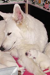 Mein Gl&uuml;ck zu F&uuml;&szlig;en