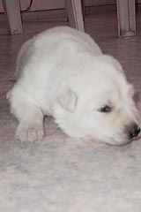 Immer &ouml;fter sind die Augen offen.