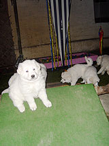 die Aussicht ist gut