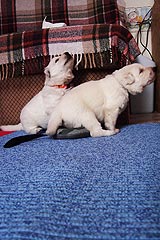 Hallo, was h&auml;ngt da? 