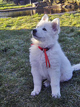 Coralie-Nice Dudweiler Saarbr&uuml;cken