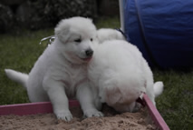 was ist den das f&uuml;r komisches Zeug