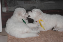 Destino - Jack und Davinia