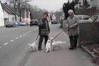 Da Capo,Dyra,Dash,Daily Joy