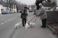 Da Capo,Dyra,Dash,Daily Joy