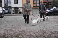 Dusty,Destino-Jack,Davinia,Drixi