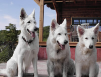 Coralie,Keona,Davinia