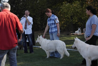 Keona l&auml;uft ums BOB mit 