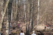 Berg runter die Hunde waren schneller