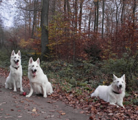 Coralie,Keona,Davinia