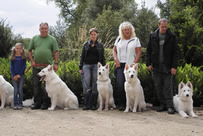 Chinnok,Dyra,Dusty,Destino-Jack