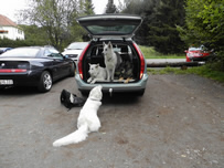 Keona,Coralie,Enza,Destino- Jack