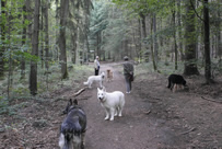 Spaziergang mit allen