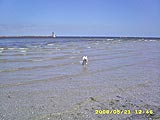 Baden in der Ostsee