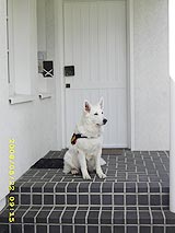 und tsch&uuml;&szlig; &hellip;