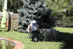 Coralie & Keona im Garten