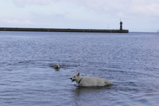 baden macht sehr viel Spa&szlig;