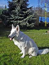 Keona im Garten, April 2008