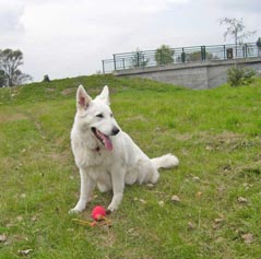 Mein bauch wächst langsam.