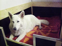 Seht her: ich probiere meine Wurfkiste aus.