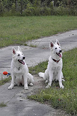 Am Abend davor mit viel Spa&szlig;